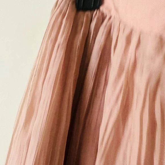 Zara Blush Maxi Skirt - Picture 3 of 5